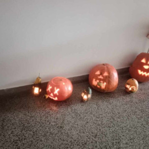 ŠD I-Podzimní práce