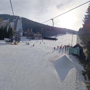 848c05de-abca-43e8-9374-26082d0f5f08.jpeg