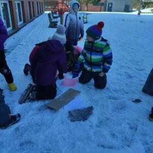 foto7.jpg